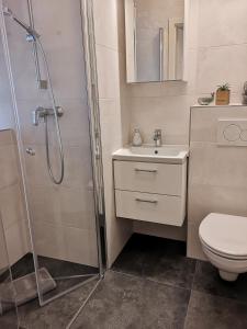 a bathroom with a shower and a sink and a toilet at City Apartment Bahnhofnah in Kiel