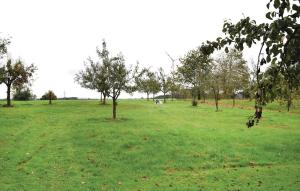 a field of green grass with trees in it at Holiday Home Alpirsbach - 08 in Marschalkenzimmern