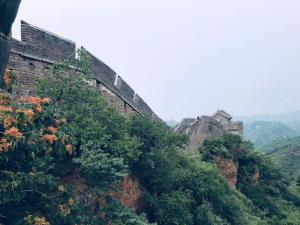 旅馆周边自然景观