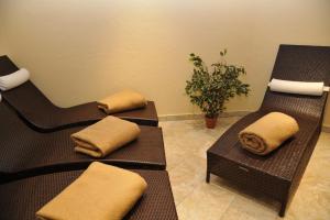 Lázně a/nebo wellness v ubytování Hotel Alpina