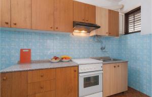 Kuchyň nebo kuchyňský kout v ubytování Apartment Jesenice Bajnice With Sea View Ix
