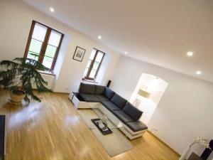 a large living room with a couch and a plant at Apartament 'Aleks' Tykocin in Tykocin