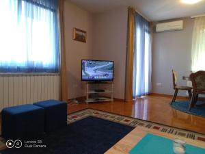 TV a/nebo společenská místnost v ubytování Apartmani Almica