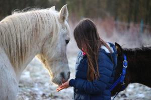 Uma jovem está a alimentar um cavalo branco. em Departamentos Exclusivos Termas de Chillán em Nevados de Chillan