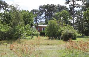 a house in the middle of a field with trees at 3 Bedroom Gorgeous Home In Yngsjö in Yngsjö