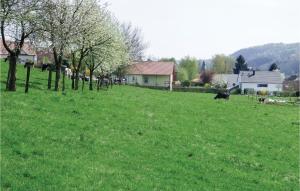 a group of cows laying in a field of grass at Cozy Home In Körperich-Obersgegen in Obersgegen +8 photos