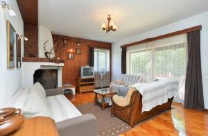 salon z kanapą i kominkiem w obiekcie Apartment Milka 1950 w Fažanie