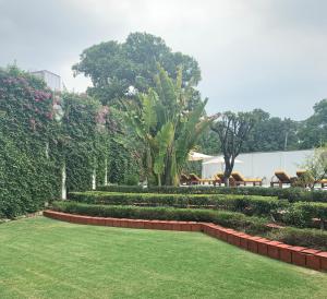 Zahrada ubytování Maidens Hotel New Delhi