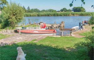 un cane sta guardando una barca sull'acqua di Two-Bedroom Holiday Home In Usedom a Wilhelmshof Altre 6 foto