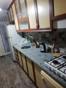 una cucina con piano di lavoro e frigorifero di KLEOPATRA ALANYA a Alanya