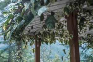 Fotografie z fotogalerie ubytování Parvati Kuteer riverside resort v destinaci Kasol