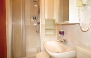 a bathroom with a shower and a sink and a toilet at Ferienhaus 22 In Thalfang in Thalfang +7 photos