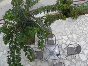 an overhead view of a tree and chairs on rocks at Galaxias Studios in Kalamaki