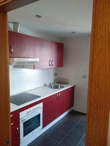 Kuchyň nebo kuchyňský kout v ubytování Apartamento Camiño dos Faros