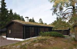 Cabaña de madera con techo de césped y torre en Stunning Home In Hammar With Jacuzzi en Hammarö