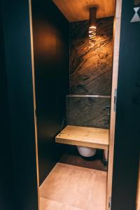 a bathroom with a toilet with a wooden shelf at Apart Lodge belMont in Saas-Fee