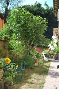 貝加莫的住宿－Bergamo Bassa，花园,花园内摆放着椅子,种着一棵树和鲜花