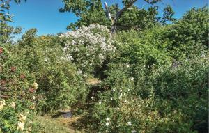 a group of trees and bushes with white flowers at 1 Bedroom Nice Apartment In Listerby in Torkö +18 photos
