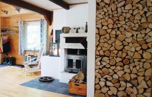 sala de estar con pared de piedra y chimenea en 1 Bedroom Stunning Home In rkellunga, en Drakabygget