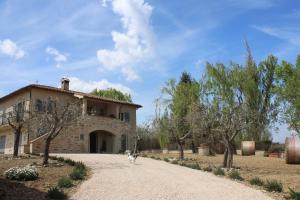 un cane che cammina davanti a un edificio di Agriturismo Qui e Ora a Bevagna