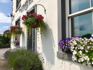 un edificio con cajas de flores en su lado en The Craven Arms en Settle