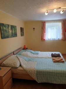 Postel nebo postele na pokoji v ubytování Apartment Robert