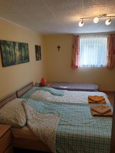 Postel nebo postele na pokoji v ubytování Apartment Robert