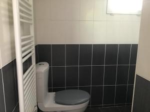 a bathroom with a toilet and black and white tiles at La vallée des pierres in Saint-Romain-sur-Cher