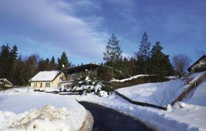 a house in a snow covered yard with a road at Holiday home Am Hohen Rad W in Schwarzenberg