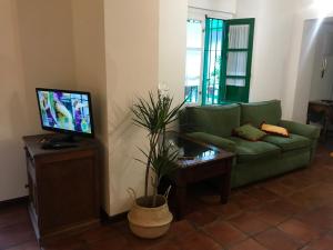 TV a/nebo společenská místnost v ubytování Apartamento Las Setas
