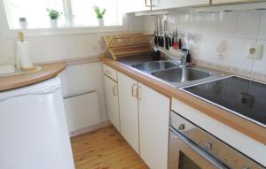 ユングビューにあるAmazing home in Ljungby with 1 Bedrooms and Saunaのキッチン(シンク、カウンタートップ付)