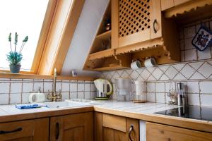 Kuchyňa alebo kuchynka v ubytovaní Giewont Lux - Sauna i Basen