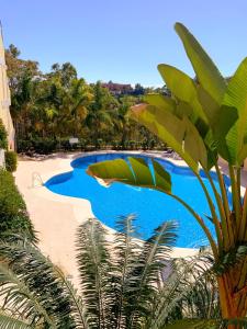 Luxury Residence Puerto Banusの敷地内または近くにあるプール