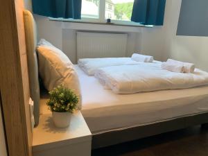 een slaapkamer met 2 bedden en een potplant bij besttime Hotel Monschau in Monschau