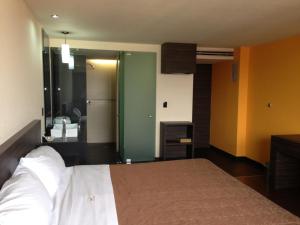1 Schlafzimmer mit einem Bett und einem Bad in der Unterkunft Hotel Amazonas in Mexiko-Stadt
