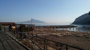 a beach with a bunch of birds in the water at CASA GIULIETTA in Vico Equense