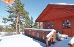 Three-Bedroom Holiday Home In Amli v zimě