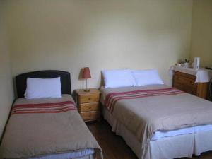a bedroom with two beds and a dresser with a lamp at Dun Aoibhinn Guest Accommodation in Galway