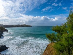 ein Blick auf das Meer von einer Klippe in der Unterkunft Bambu Cottage in Newquay