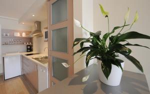 A kitchen or kitchenette at Apartamentos Turísticos Mirablanc