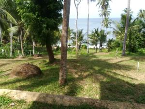 un parco con palme e l'oceano sullo sfondo di Star Beach Hotel a Tangalle