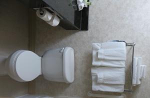 ein Bad mit WC-Papierspender und Handtüchern in der Unterkunft Holiday Inn Express Hotel & Suites Terre Haute, an IHG Hotel in Terre Haute