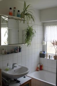 a bathroom with a sink and a mirror at Bed & Breakfast Bonn in Bonn