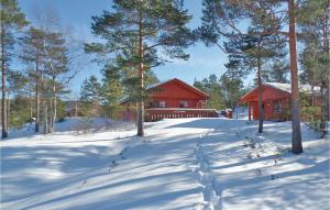 Three-Bedroom Holiday Home In Amli v zimě