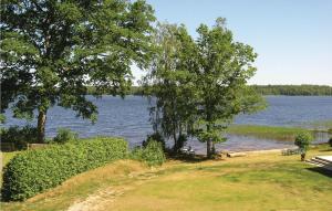a view of a body of water with two trees at Amazing Home In Bolmsö in Bolmsö