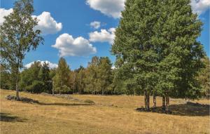 two trees in a field with clouds in the sky at 2 Bedroom Cozy Home In Mariannelund in Mariannelund