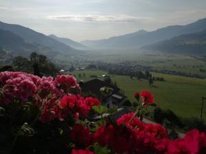 - une vue sur une vallée avec des fleurs roses dans l'établissement Haus Salzachblick, à Piesendorf
