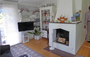 uma sala de estar com lareira e televisão em Amazing Home In Blsta With Wifi em Bålsta