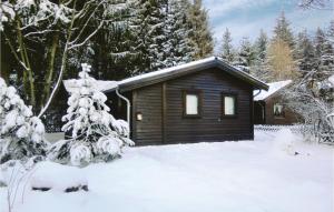 une cabane en rondins dans la neige avec un arbre dans l'établissement Ferienpark Waldsee,kaminhaus, à Clausthal-Zellerfeld