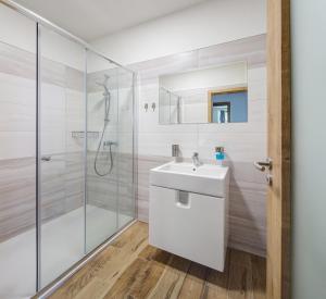 ein Badezimmer mit Waschbecken und Dusche in der Unterkunft Apartmány Anička in Železná Ruda